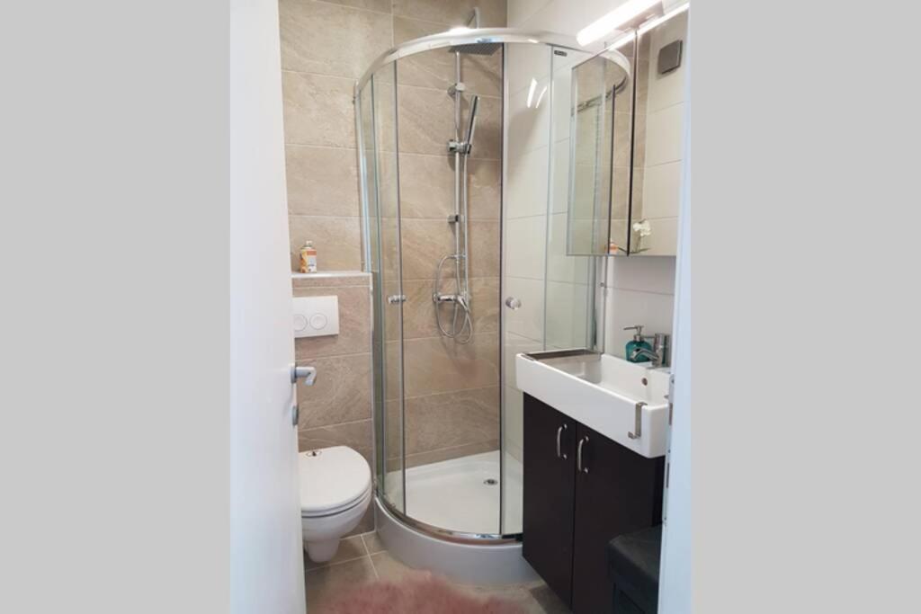 Living Home, Apartament Cu Doua Dormitoare Si Doua Bai Cisnădie Buitenkant foto